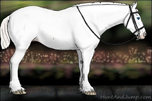 Horse Color:Silver Bay Splash Tobiano Near Fewspot