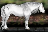 Horse Color:Silver Brown Chinchilla Ice Onyx 