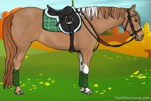 Horse Color:Chestnut Tobiano 