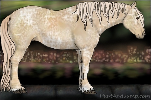 Horse Color:Palomino Ice 