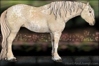 Horse Color:Palomino Ice 