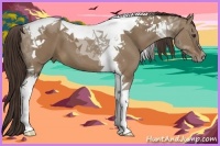 Horse Color:Liver Red Dun Tobiano