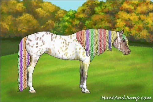 Horse Color:Painted Silver Bay Ice Appaloosa 