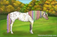 Horse Color:Painted Silver Bay Ice Appaloosa 