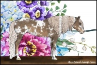 Horse Color:White Spotted Chocolate Palomino Sabino