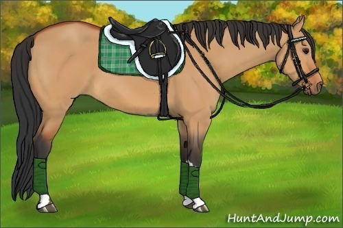 Horse Color:Bay Dun