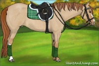 Horse Color:Red Dun Roan 