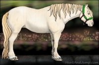 Horse Color:Buckskin Roan Pearl and Buckskin Roan Pearl Rabicano