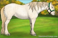 Horse Color:Buckskin Roan Pearl and Buckskin Roan Pearl