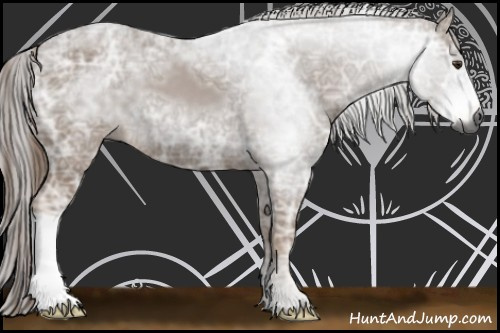 Horse Color:Gray Chestnut Ice 