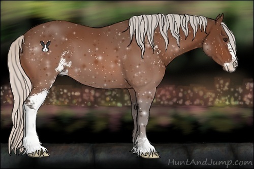 Horse Color:Silver Bay Sabino