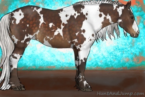 Horse Color:White Spotted Silver Bay