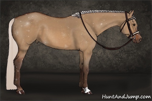 Horse Color:Silver Bay Dun