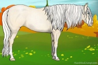 Horse Color:Silver Buckskin Roan Pearl and Silver Buckskin Roan Pearl Splash