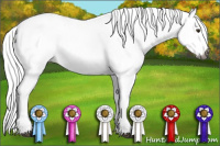 Horse Color:Gray White Spotted Bay