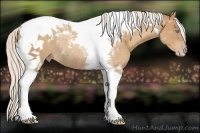Horse Color:Silver Classic Champagne Tobiano Rabicano