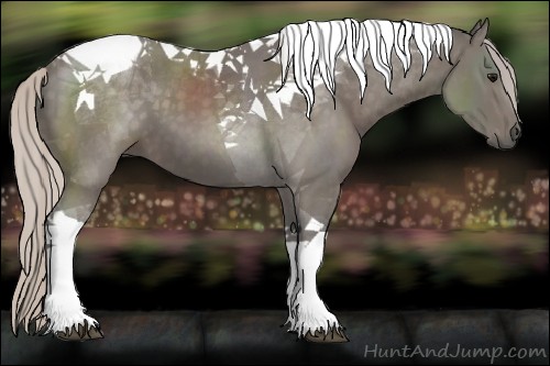 Horse Color:Silver Black Tobiano 
