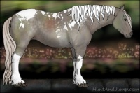 Horse Color:Silver Black Tobiano