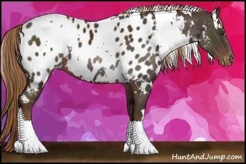 Horse Color:White Spotted Liver Chestnut Blanket 