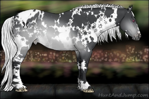 Horse Color:White Spotted Silver Brown Chinchilla Varnish
