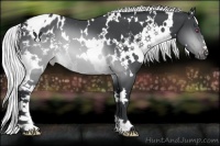 Horse Color:White Spotted Silver Brown Chinchilla Varnish 