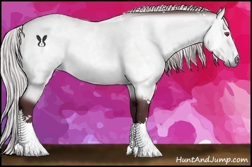 Horse Color:White Spotted Chocolate Silver Bay Chinchilla 