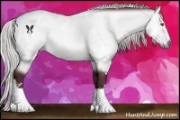 Horse Color:White Spotted Chocolate Silver Bay Chinchilla 