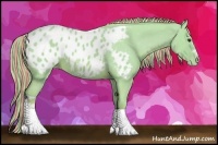 Horse Color:Painted Watercolor Chestnut Appaloosa 