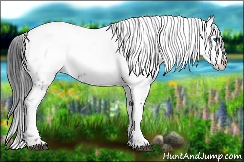 Horse Color:Black Frame 