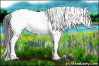 Horse Color:Black Frame 