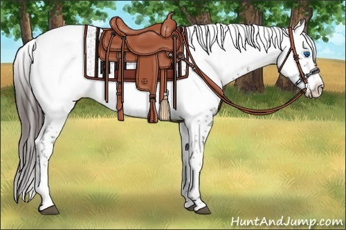 Horse Color:Liver Chestnut Frame 
