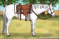 Horse Color:Liver Chestnut Frame
