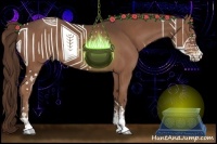 Horse Color:Liver Chestnut Sabino  and Liver Chestnut Sabino 