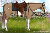 Horse Color:Red Dun Splash Frame
