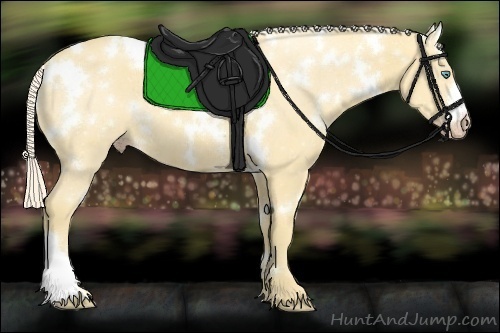 Horse Color:White Spotted Gold Cream Champagne