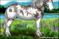 Horse Color:White Spotted Silver Black Splash 