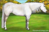 Horse Color:Gray Bay Dun Splash Frame Rabicano 