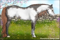 Horse Color:Liver Chestnut Ice Frame Rabicano