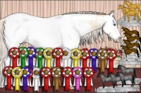 Horse Color:Silver Amber Champagne Roan Dun Splash Appaloosa 