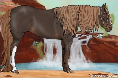 Horse Color:Liver Chestnut 