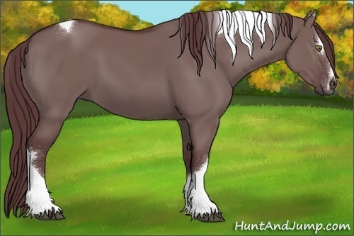 Horse Color:Chocolate Grullo Sabino Tobiano 
