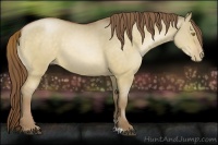 Horse Color:Brown Pearl Dun