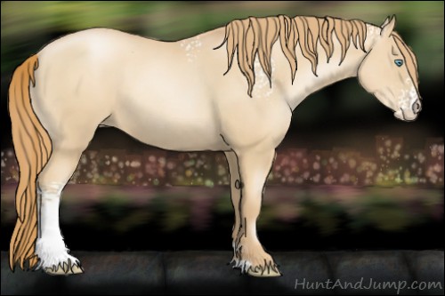 Horse Color:White Spotted Gold Champagne Pearl 
