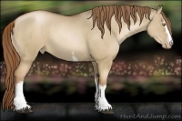 Horse Color:White Spotted Liver Red Dun Pearl