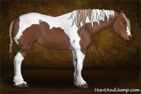 Horse Color:Chestnut Tobiano