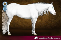 Horse Color:Smoky Blue Roan Splash Appaloosa 