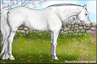 Horse Color:White Spotted Liver Chestnut Chinchilla Sabino 