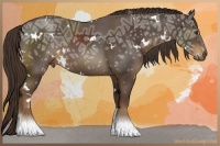 Horse Color:White Spotted Liver Chestnut Ice 