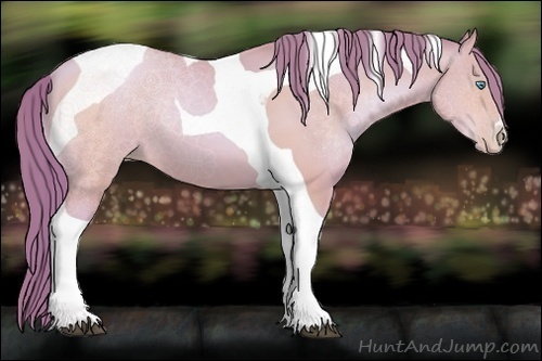 Horse Color:Watercolor Buckskin Pearl Tobiano 