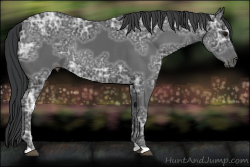 Horse Color:Black Ice 